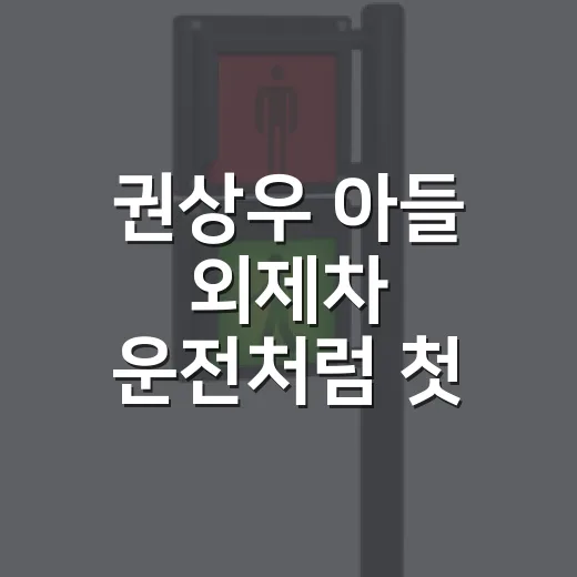 권상우 아들 외제차 운전처럼 첫 단독 운전 준비하는 방법 - 요약