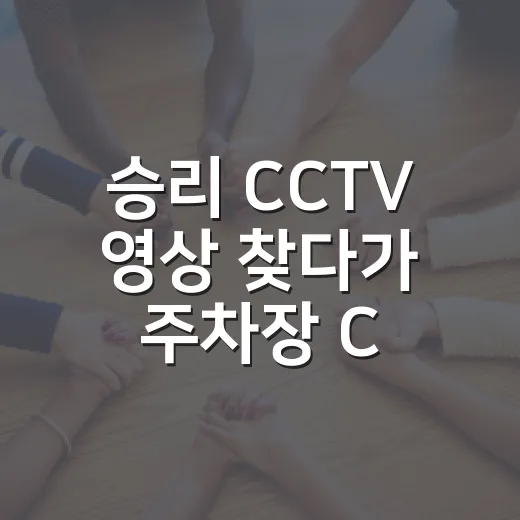 승리 CCTV 영상 찾다가 주차장 CCTV 제대로 확인하는 방법 - 요약