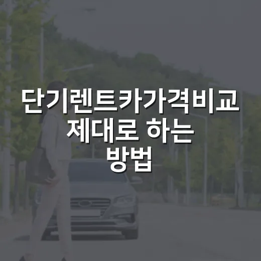 단기렌트카가격비교 제대로 하는 방법, 하루 요금만 보면 손해 보는 이유 - 요약