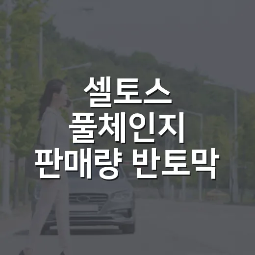 셀토스 풀체인지 판매량 반토막 소식, 계약 전에 숫자 읽는 방법 - 요약