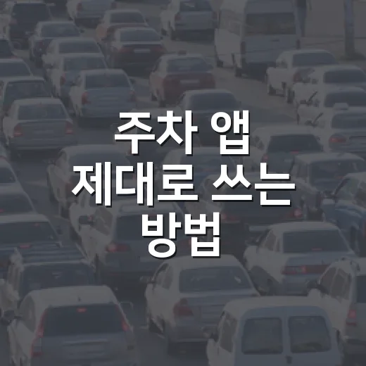 주차 앱 제대로 쓰는 방법, 자리 찾고 과태료 피하려면 이렇게 - 요약