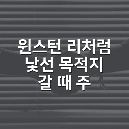 윈스턴 리처럼 낯선 목적지 갈 때 주차비·과태료 피하는 방법 - 요약