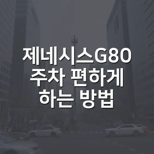제네시스G80 주차 편하게 하는 방법, 큰 차 몰 때 덜 긁는 습관 - 요약