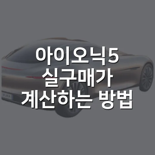 아이오닉5 실구매가 계산하는 방법, 보조금보다 옵션을 먼저 보는 법 - 요약