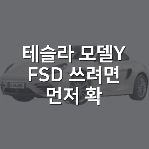 테슬라 모델Y FSD 쓰려면 먼저 확인할 것들 - 요약