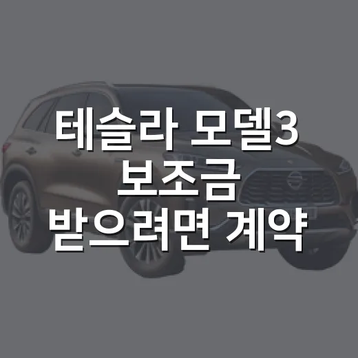 테슬라 모델3 보조금 받으려면 계약 전에 이렇게 확인하는 방법 - 요약