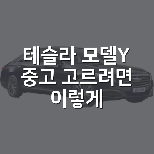 테슬라 모델Y 중고 고르려면 이렇게, 주차장까지 따져보는 방법 - 요약