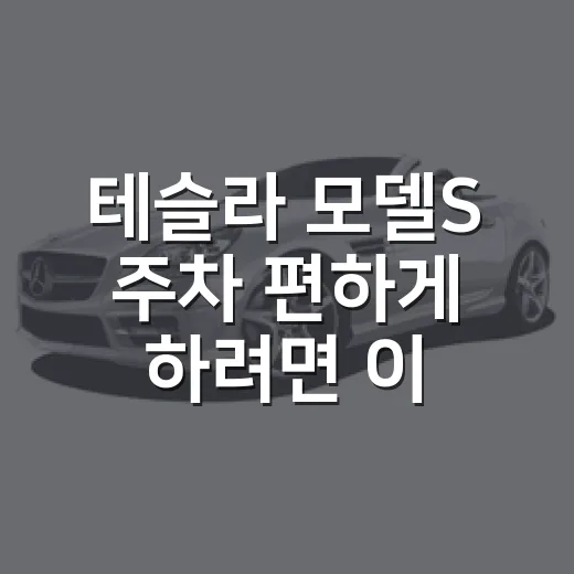테슬라 모델S 주차 편하게 하려면 이렇게 준비하면 됩니다 - 요약