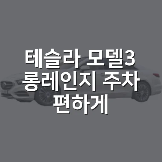 테슬라 모델3 롱레인지 주차 편하게 하려면 이렇게 잡으세요 - 요약