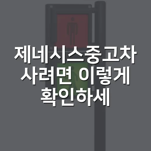 제네시스중고차 사려면 이렇게 확인하세요, 주차장까지 편한 차 고르는 방법 - 요약