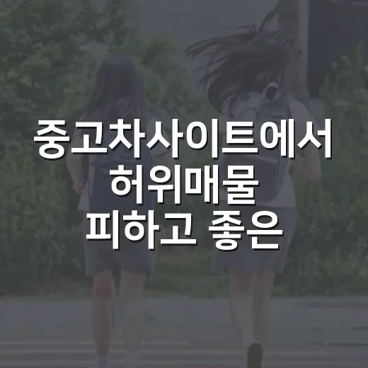 중고차사이트에서 허위매물 피하고 좋은 차 고르는 방법 - 요약