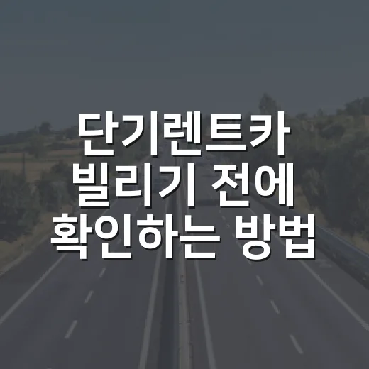 단기렌트카 빌리기 전에 확인하는 방법, 과태료와 보험에서 덜 당황하려면 이렇게 - 요약
