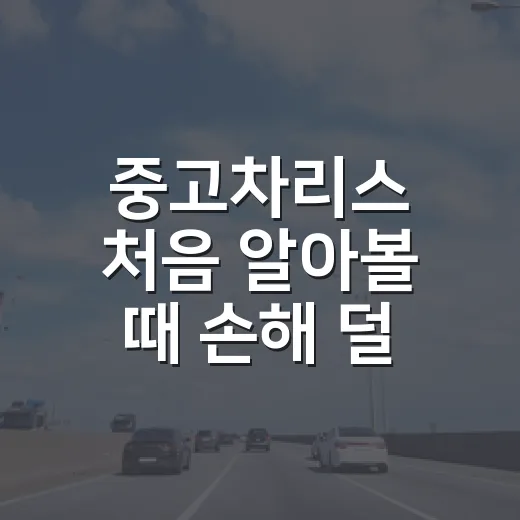중고차리스 처음 알아볼 때 손해 덜 보려면 이렇게 보세요 - 요약