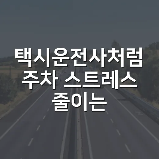 택시운전사처럼 주차 스트레스 줄이는 방법, 초보도 바로 써먹는 운전 습관 - 요약