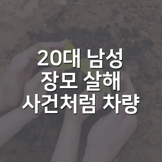 20대 남성 장모 살해 사건처럼 차량 도주가 얽힌 위급 상황 신고하는 방법 - 요약