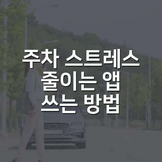 주차 스트레스 줄이는 앱 쓰는 방법, 운전 14년차가 남겨둔 실전 세팅 - 요약