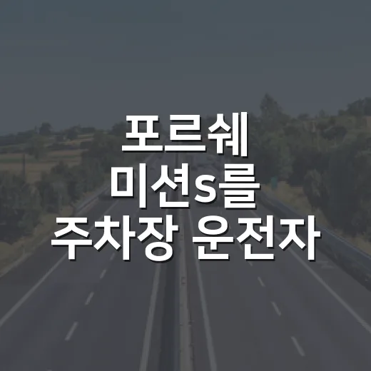 포르쉐 미션s를 주차장 운전자 눈으로 보는 방법 - 요약