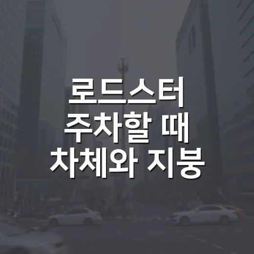 로드스터 주차할 때 차체와 지붕 지키는 방법 - 요약
