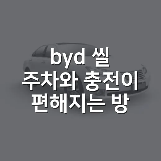 byd 씰 주차와 충전이 편해지는 방법 - 요약
