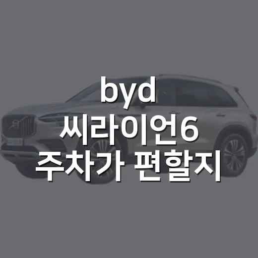 byd 씨라이언6 주차가 편할지 확인하는 방법 - 요약
