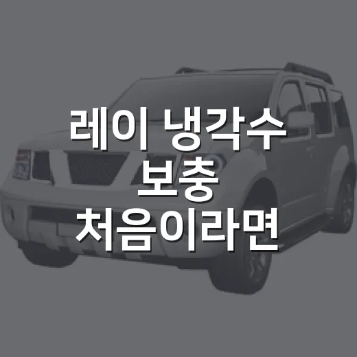 레이 냉각수 보충 처음이라면 이렇게 하세요 - 요약