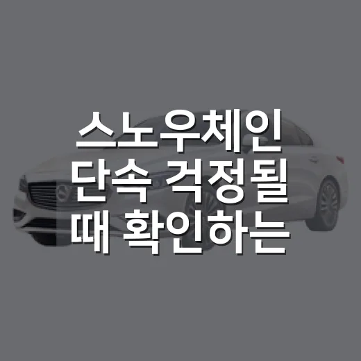 스노우체인 단속 걱정될 때 확인하는 방법 - 요약