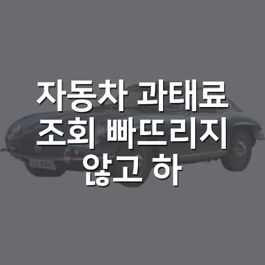 자동차 과태료 조회 빠뜨리지 않고 하는 방법 - 요약