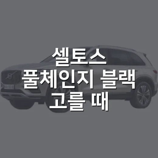 셀토스 풀체인지 블랙 고를 때 주차까지 따져보는 방법 - 요약
