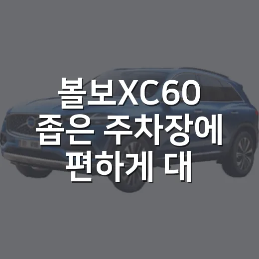 볼보XC60 좁은 주차장에 편하게 대는 방법 - 요약