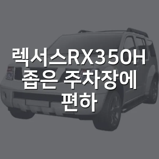 렉서스RX350H 좁은 주차장에 편하게 주차하는 방법 - 요약