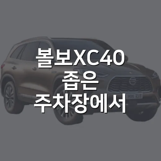 볼보XC40 좁은 주차장에서 편하게 주차하는 방법 - 요약