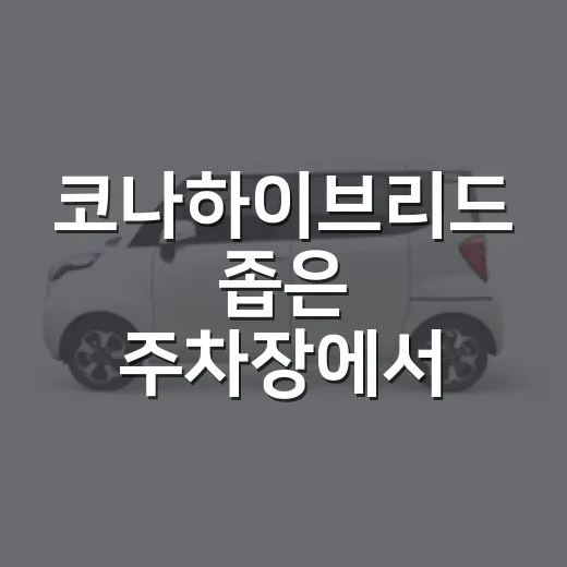 코나하이브리드 좁은 주차장에서 편하게 주차하는 방법 - 요약