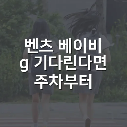 벤츠 베이비 g 기다린다면 주차부터 따져보는 방법 - 요약