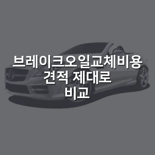 브레이크오일교체비용 견적 제대로 비교하는 방법 - 요약