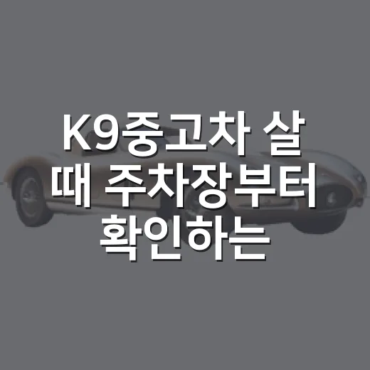 K9중고차 살 때 주차장부터 확인하는 방법 - 요약
