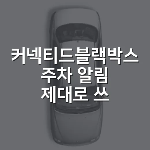 커넥티드블랙박스 주차 알림 제대로 쓰는 방법 - 요약