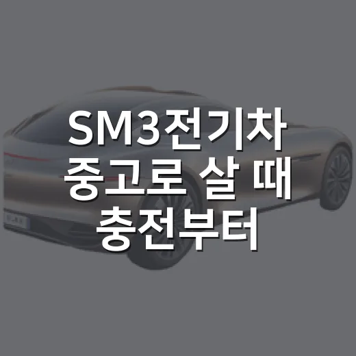 SM3전기차 중고로 살 때 충전부터 확인하는 방법 - 요약