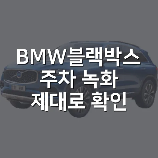 BMW블랙박스 주차 녹화 제대로 확인하는 방법 - 요약