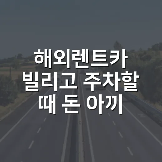 해외렌트카 빌리고 주차할 때 돈 아끼는 방법 - 요약