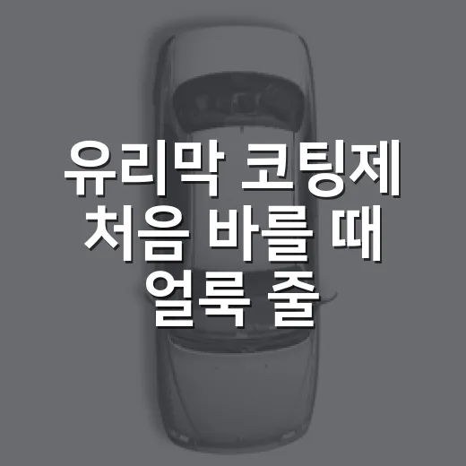 유리막 코팅제 처음 바를 때 얼룩 줄이는 방법 - 요약