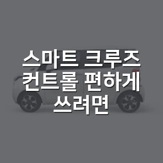 스마트 크루즈 컨트롤 편하게 쓰려면 이렇게 - 요약