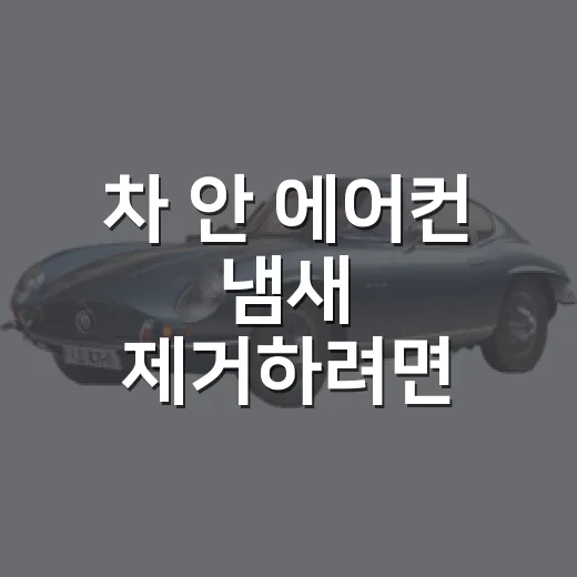 차 안 에어컨 냄새 제거하려면 이렇게 해보세요 - 요약