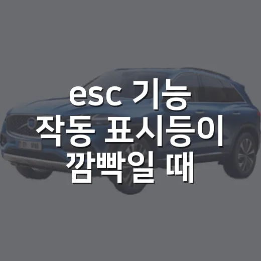 esc 기능 작동 표시등이 깜빡일 때 대처하는 방법 - 요약