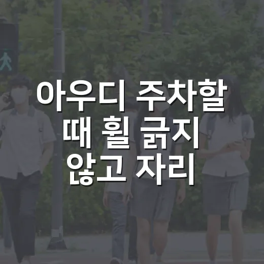 아우디 주차할 때 휠 긁지 않고 자리 고르는 방법 - 요약