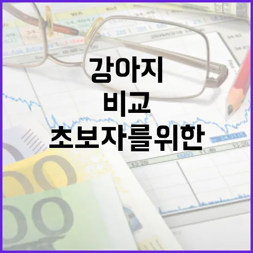 초보자를 위한 강아지 보험 비교 가이드 - 요약
