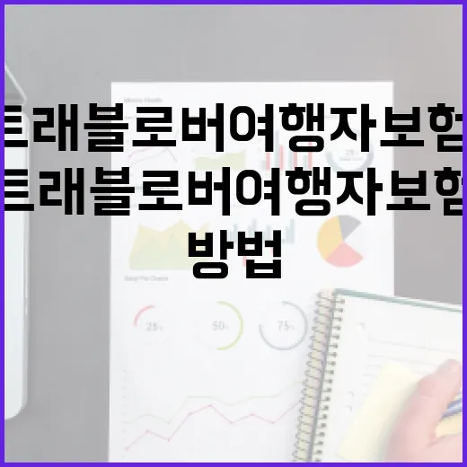 트래블로버여행자보험, 현명하게 선택하는 방법 - 요약