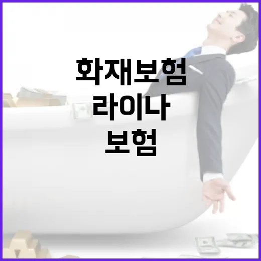 라이나화재보험을 선택하는 방법, 이렇게 시작하세요! - 요약