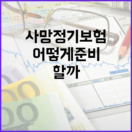 사망정기보험, 어떻게 준비해야 할까요? - 요약