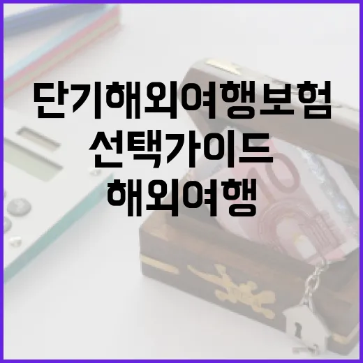 단기 해외 여행 보험, 꼭 필요한 이유와 선택 가이드 - 요약