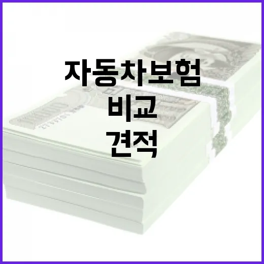 자동차보험견적비교사이트 활용법: 스마트하게 선택하기 - 요약